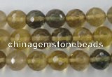 CFL454 15.5 inches 10mm faceted round rainbow fluorite beads