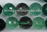 CFL66 15.5 inches 16mm faceted round A grade natural fluorite beads