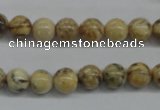 CFS02 15.5 inches 10mm round natural feldspar gemstone beads
