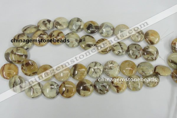 CFS204 15.5 inches 20mm flat round natural feldspar gemstone beads