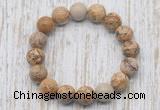 CGB5373 10mm, 12mm round picture jasper beads stretchy bracelets