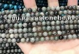 CGJ510 15.5 inches 4mm round green forst jasper beads wholesale