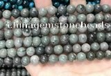 CGJ512 15.5 inches 8mm round green forst jasper beads wholesale