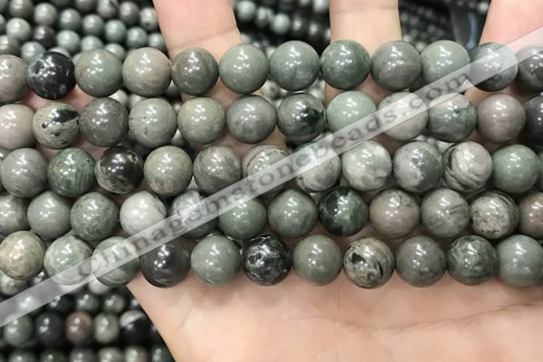 CGJ513 15.5 inches 10mm round green forst jasper beads wholesale