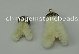 CGP209 25*30mm - 30*50mm freeform coral pendants wholesale