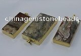 CGP3427 25*45mm - 30*55mm rectangle crazy lace agate pendants