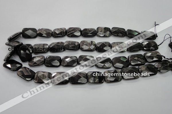 CHS38 15.5 inches 15*20mm faceted rectangle natural hypersthene beads