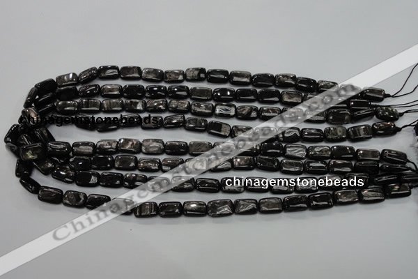 CHS88 15.5 inches 8*12mm rectangle natural hypersthene beads