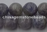 CIL103 15.5 inches 10mm round iolite gemstone beads wholesale