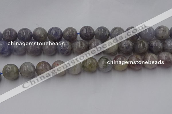 CIL103 15.5 inches 10mm round iolite gemstone beads wholesale