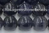 CIL128 15.5 inches 10mm round natural iolite beads wholesale