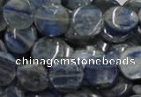 CKC02 16 inches 25mm flat round natural kyanite beads wholesale