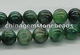 CKC102 16 inches 10mm round natural green kyanite beads