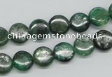 CKC107 16 inches 10mm flat round natural green kyanite beads wholesale