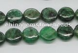 CKC108 16 inches 12mm flat round natural green kyanite beads wholesale