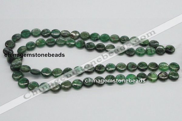 CKC108 16 inches 12mm flat round natural green kyanite beads wholesale