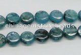 CKC21 16 inches 10mm flat round natural kyanite beads wholesale