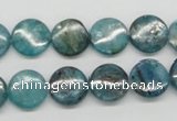 CKC22 16 inches 12mm flat round natural kyanite beads wholesale