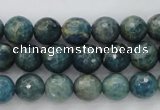 CKC223 15.5 inches 10mm faceted round natural kyanite beads wholesale