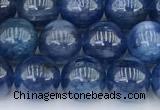 CKC791 15 inches 8mm round blue kyanite beads wholesale