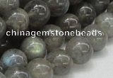 CLB05 16 inches 14mm round labradorite gemstone beads wholesale