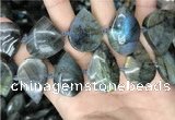 CLB1001 15.5 inches 18*30mm - 22*35mm flat teardrop labradorite beads