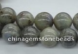 CLB102 15.5 inches 14mm round labradorite gemstone beads wholesale