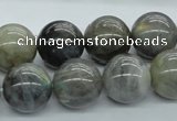 CLB103 15.5 inches 16mm round labradorite gemstone beads wholesale