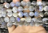 CLB1039 15.5 inches 12mm faceted coin labradorite beads wholesale