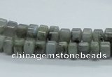 CLB104 15.5 inches 5*8mm rondelle labradorite gemstone beads wholesale