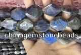 CLB1047 15.5 inches 18*22mm - 20*25mm faceted freeform labradorite beads