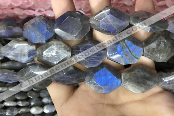 CLB1047 15.5 inches 18*22mm - 20*25mm faceted freeform labradorite beads