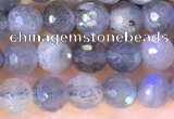 CLB1070 15.5 inches 4mm faceted round labradorite beads