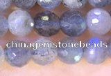 CLB1071 15.5 inches 5mm faceted round labradorite beads