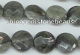 CLB192 15.5 inches 16mm faceted coin labradorite gemstone beads