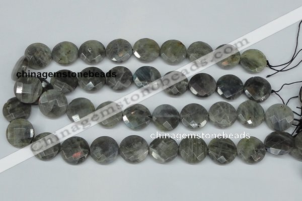 CLB193 15.5 inches 20mm faceted coin labradorite gemstone beads