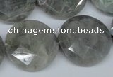 CLB194 15.5 inches 25mm faceted coin labradorite gemstone beads