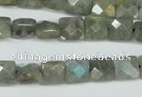 CLB199 15.5 inches 10*10mm faceted square labradorite beads