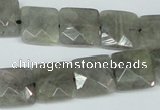 CLB201 15.5 inches 14*14mm faceted square labradorite beads