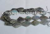 CLB215 15.5 inches 20*30mm - 30*40mm faceted freeform labradorite beads