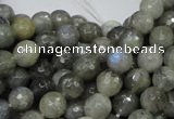 CLB22 15.5 inches 8mm faceted round labradorite gemstone beads