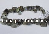 CLB222 Top drilled 15*25mm - 25*30mm freeform labradorite beads