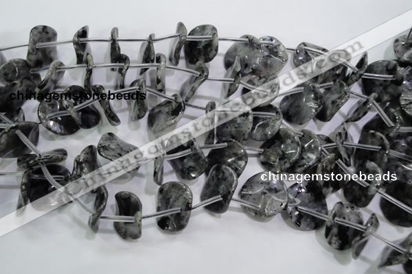 CLB326 Top-drilled 20mm wavy coin black labradorite beads