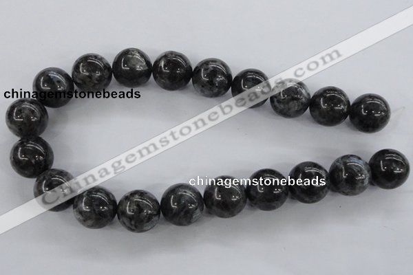 CLB356 15.5 inches 16mm round black labradorite beads wholesale