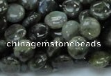 CLB38 15.5 inches 10mm flat round labradorite gemstone beads