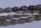 CLB501 15.5 inches 6*10mm faceted teardrop labradorite beads