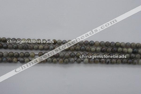 CLB601 15.5 inches 6mm round AB-color labradorite beads