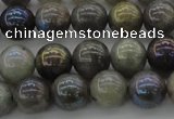 CLB603 15.5 inches 10mm round AB-color labradorite beads