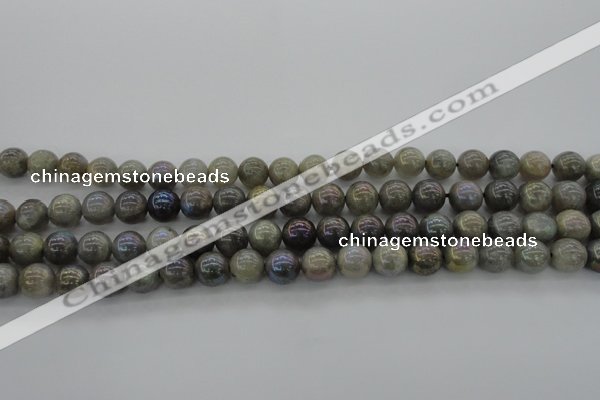 CLB603 15.5 inches 10mm round AB-color labradorite beads