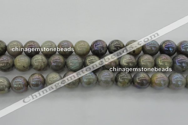 CLB608 15.5 inches 20mm round AB-color labradorite beads